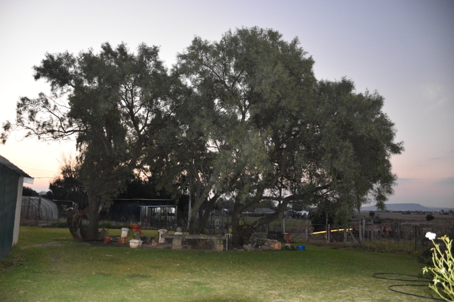 4 Bedroom Property for Sale in Rouxville Free State